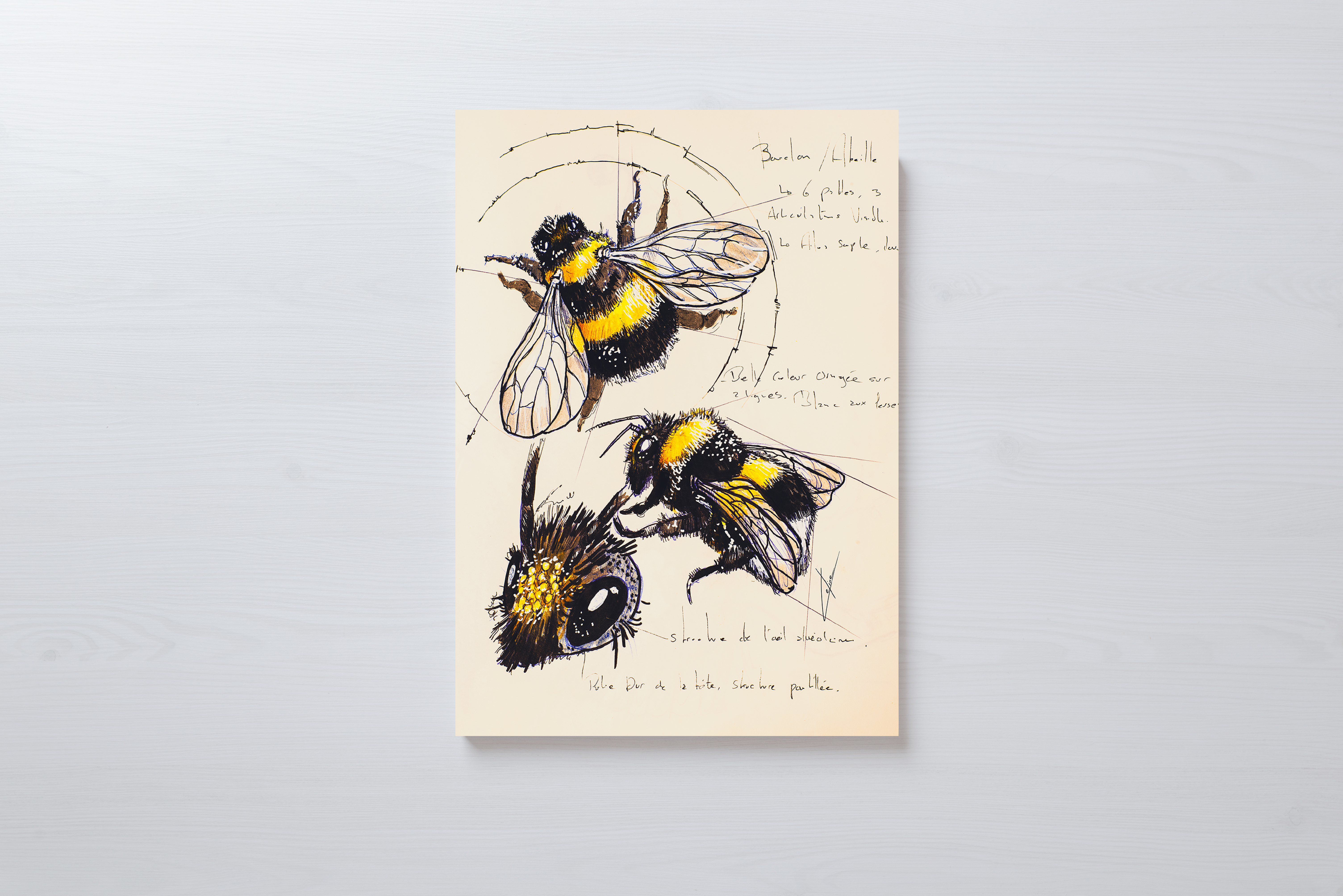 Reproduction d'un dessin réalisé au stylo et au feutre dans un carnet de croquis.