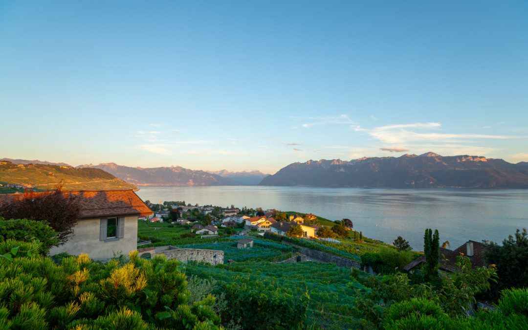 Mariage D&rsquo;Elise & Liliana / Casamento de Elise e Liliana