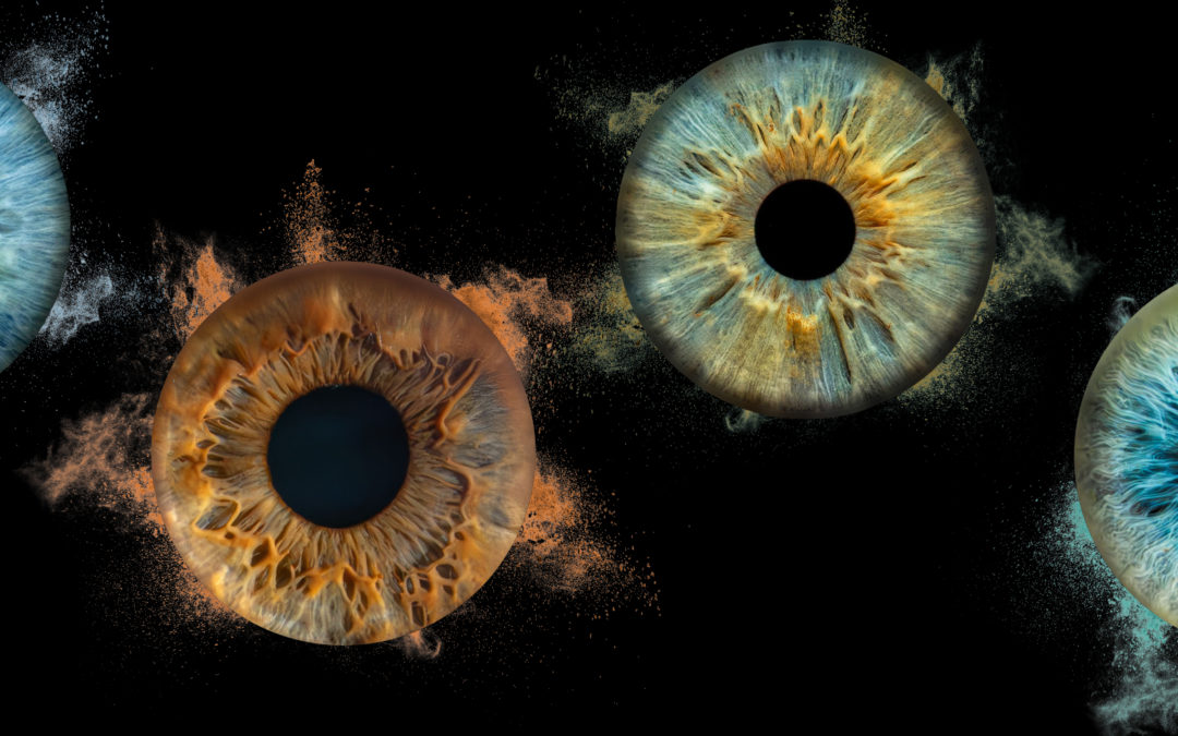 Voyage fascinant au coeur de votre Oeil