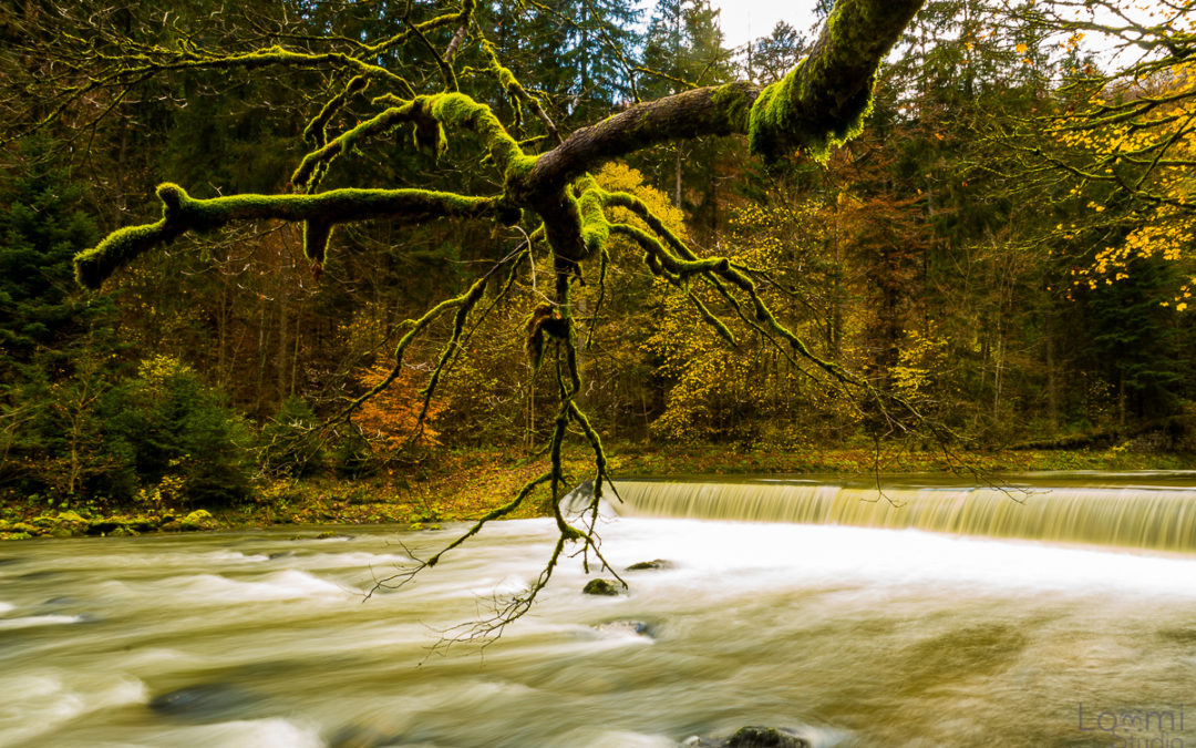 Idée de ballade – Les Gorges de l&rsquo;areuse
