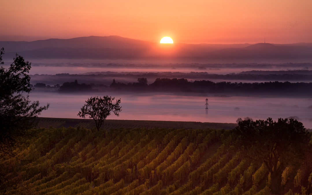 Couleurs d&rsquo;Alsace