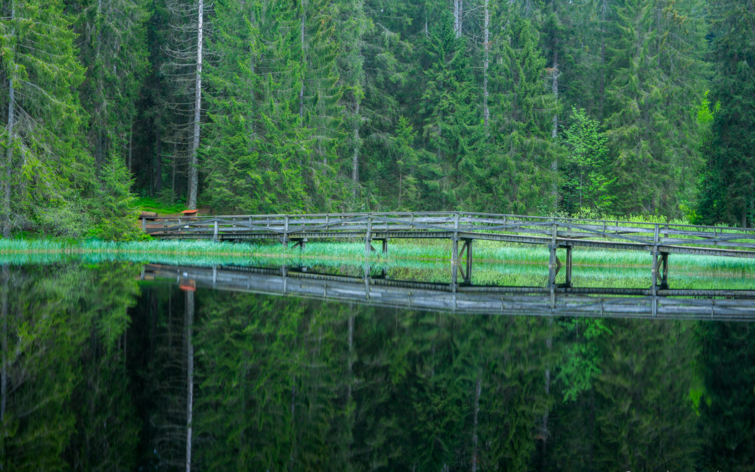 Idee de ballade – Etang de la gruère