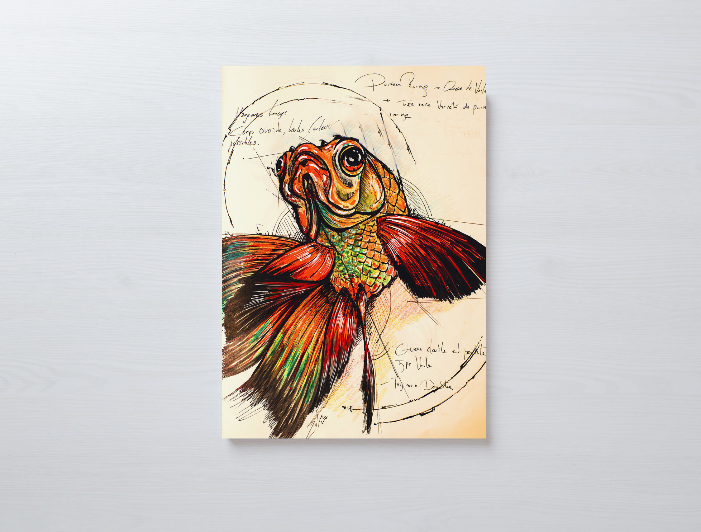 Planche du Naturaliste - Poisson - Format A3