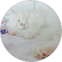 Céline Matile profile picture