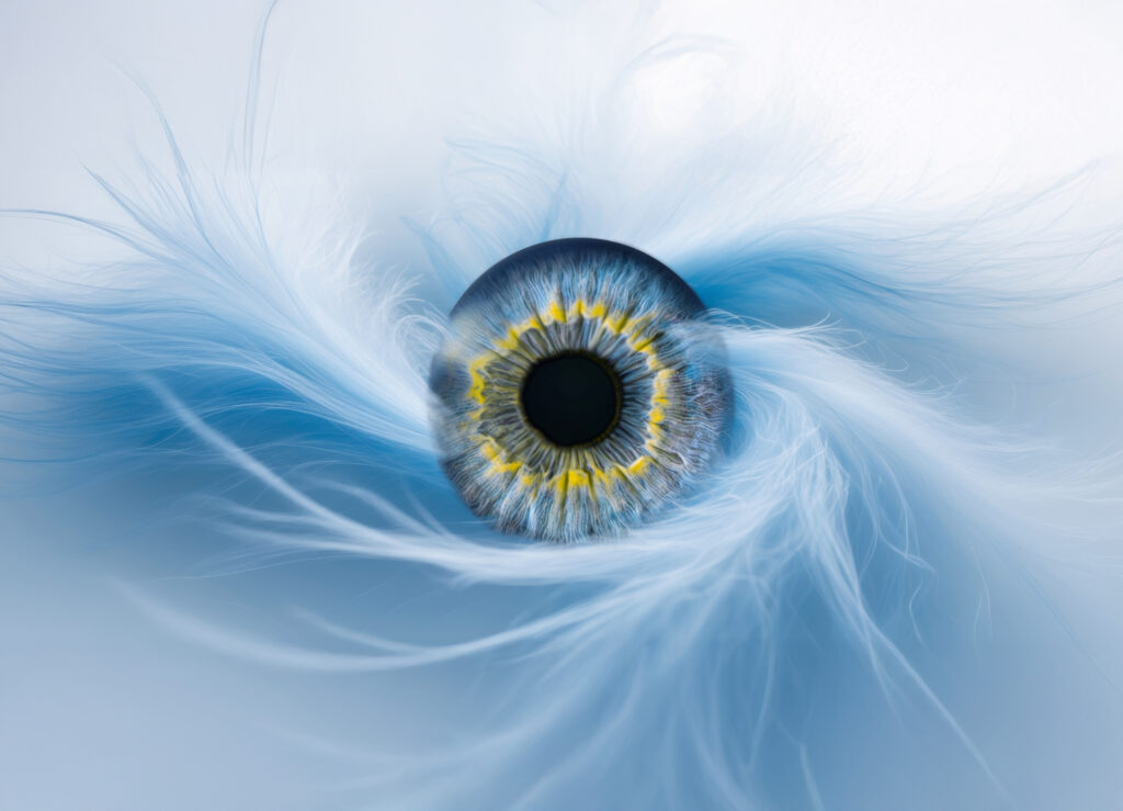 Photographie d’iris en macro haute définition réalisée par LoomiStudio en Suisse, détails des fibres et couleurs naturelles de l’œil humain