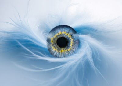 Photographie d’iris en macro haute définition réalisée par LoomiStudio en Suisse, détails des fibres et couleurs naturelles de l’œil humain