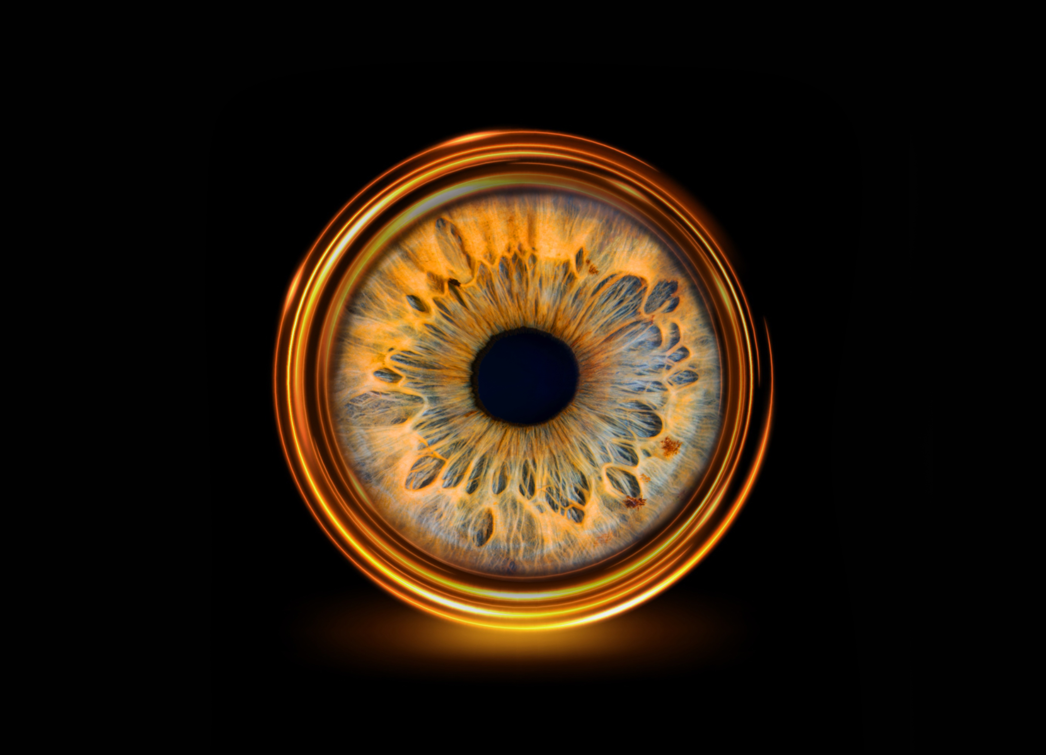 Photographie d’iris en macro haute définition réalisée par LoomiStudio en Suisse, détails des fibres et couleurs naturelles de l’œil humain