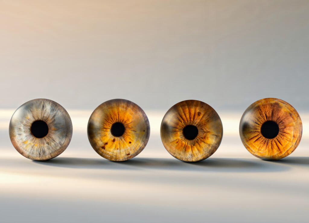 Photographie d’iris en macro haute définition réalisée par LoomiStudio en Suisse, détails des fibres et couleurs naturelles de l’œil humain